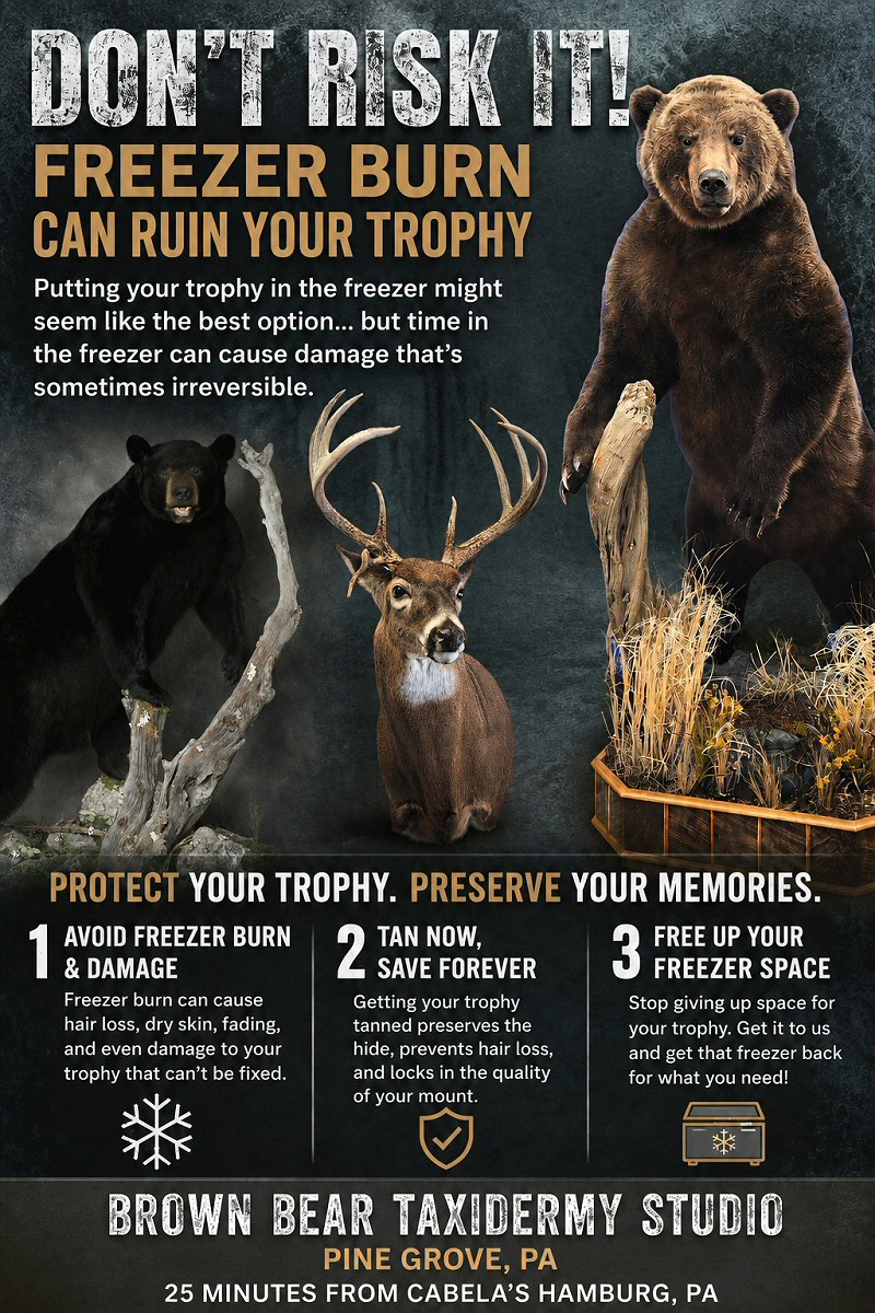 Taxidermy-Freezer-Burn-Prevent-It-Get-It-Tanned-For-Now